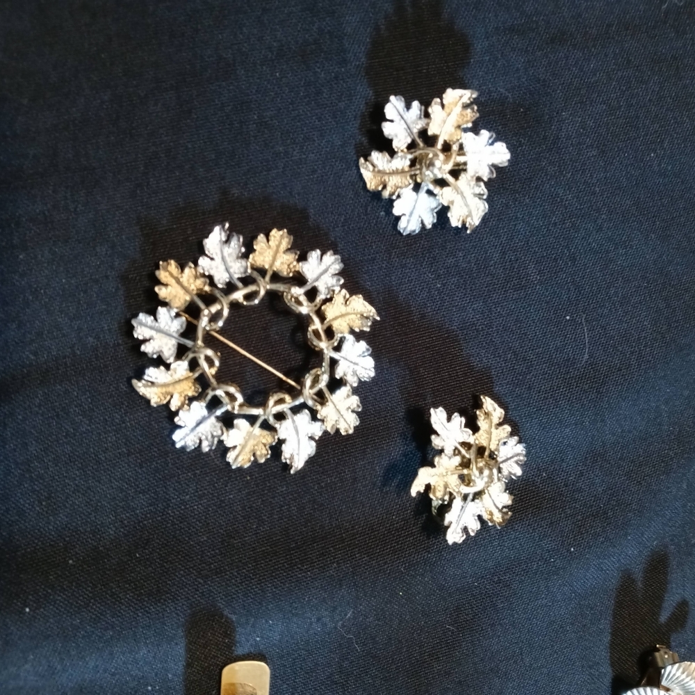 Sarah Coventry pin and earing set